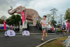 BIB: 
                            <button type="button" onclick="openModal(26528469)" class="btn btn-primary btn-sm float-right btn-popup" data-toggle="modal" data-target=".modal-high-quality">
                        <i class="fas fa-shopping-cart"></i> Add to Cart
                    </button>
                                            <button type="button" onclick="isThisMe(26528469, true)" class="btn btn-success btn-sm float-right btn-popup btn-isme hidden" data-toggle="tooltip" data-placement="bottom" title="นี่คือรูปของคุณใช่ไหม คลิกที่นี่เพื่อเอาเข้าอัลบั้ม">
                        <i class="fas fa-plus"></i> Add to album
                    </button>
                    <button type="button" onclick="isThisMe(26528469, false)" class="btn btn-warning btn-sm float-right btn-popup btn-isnotme hidden">
                        <i class="fas fa-ban"></i> Remove from album
                    </button>